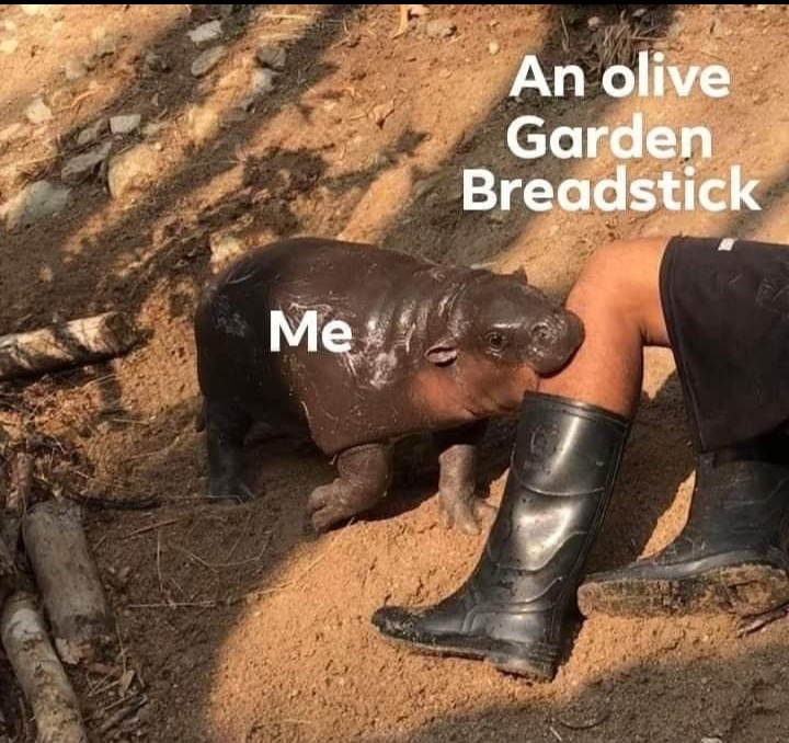 I like Olive Garden - meme