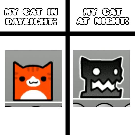 Cat horror - meme