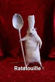 Ratatouille - meme