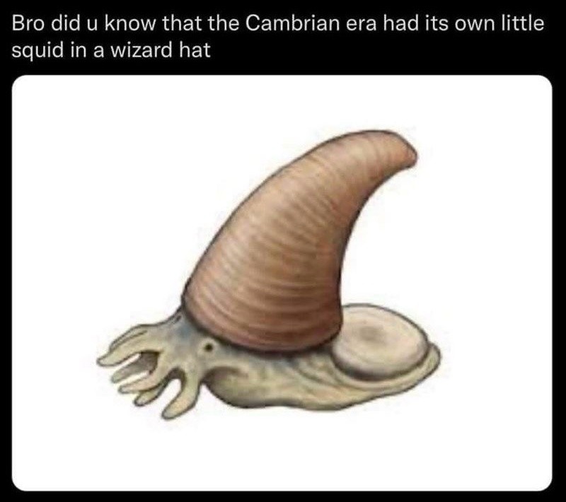 Cambrian era is tight, everyone - meme