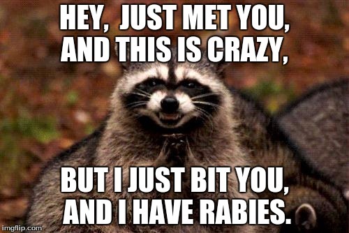 Raccoon is friend - meme