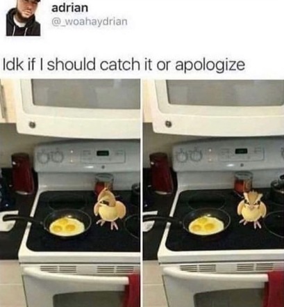 why not both? - meme