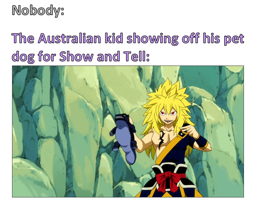 Australian kid at Show and Tell: - meme