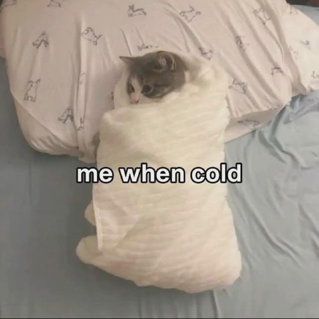 Me in winter without proper preparation - meme