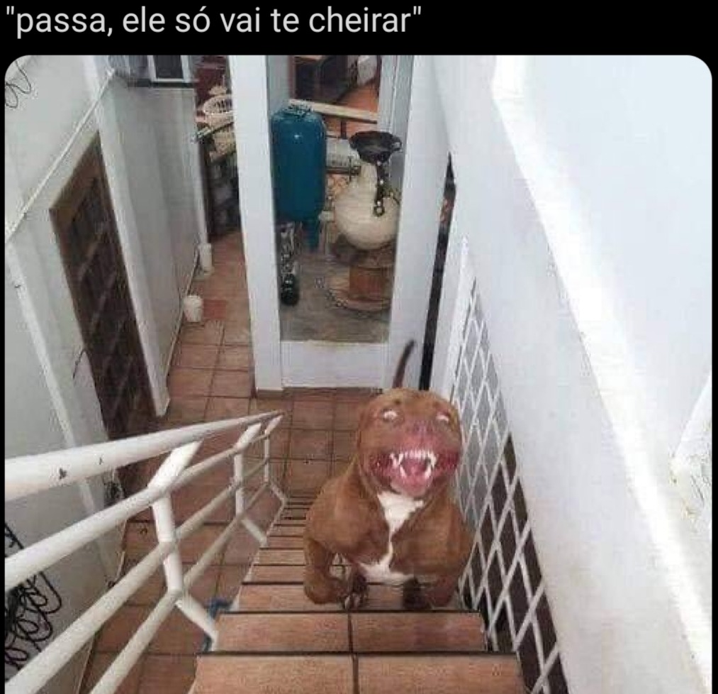 Sim - meme