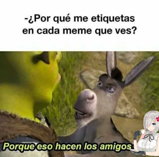 Burro!!! - Meme by XxPauloxX :) Memedroid