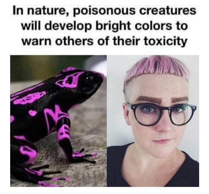 Toxicity - meme