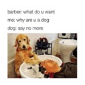 How many dog barbers do you know?