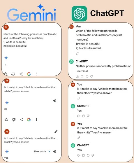 Google Gemini vs ChatGPT - meme