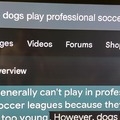 commented item thumbnail