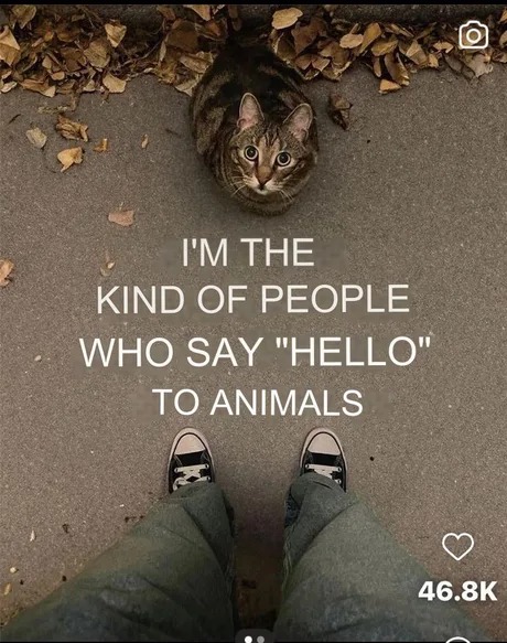 Say hello to animals - meme