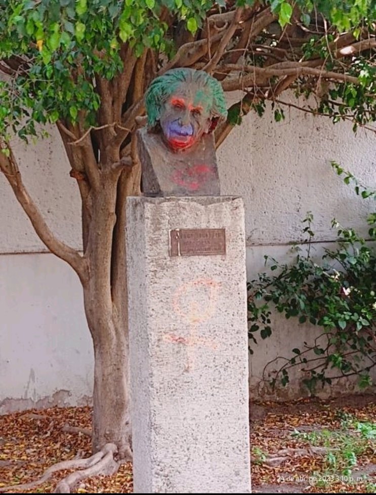 La locura es relativa dijo el wason instantáneo - meme