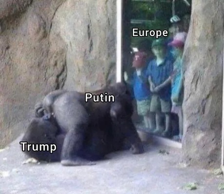 Trump la está liando con Ucrania - meme
