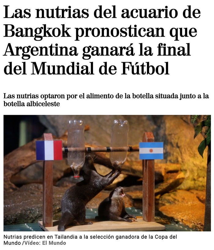 Nutrias de un acuario aciertan con su pronóstico de que Argentina ganara el mundial frente a Francia - meme