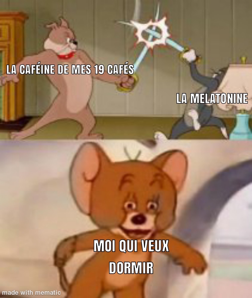 Le titre et parti fumer la moquette - meme
