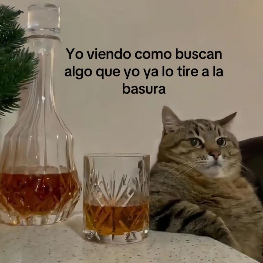 Yo viendo cómo buscan eso que ya tiré a la basura - meme