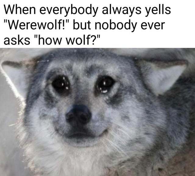 When everybody always yells werewolf but nobody ever asks how wolf - meme