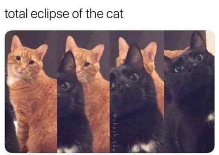 pussy eclipse - meme
