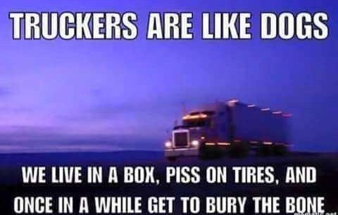 It's cute what my trucker friend sends me - meme