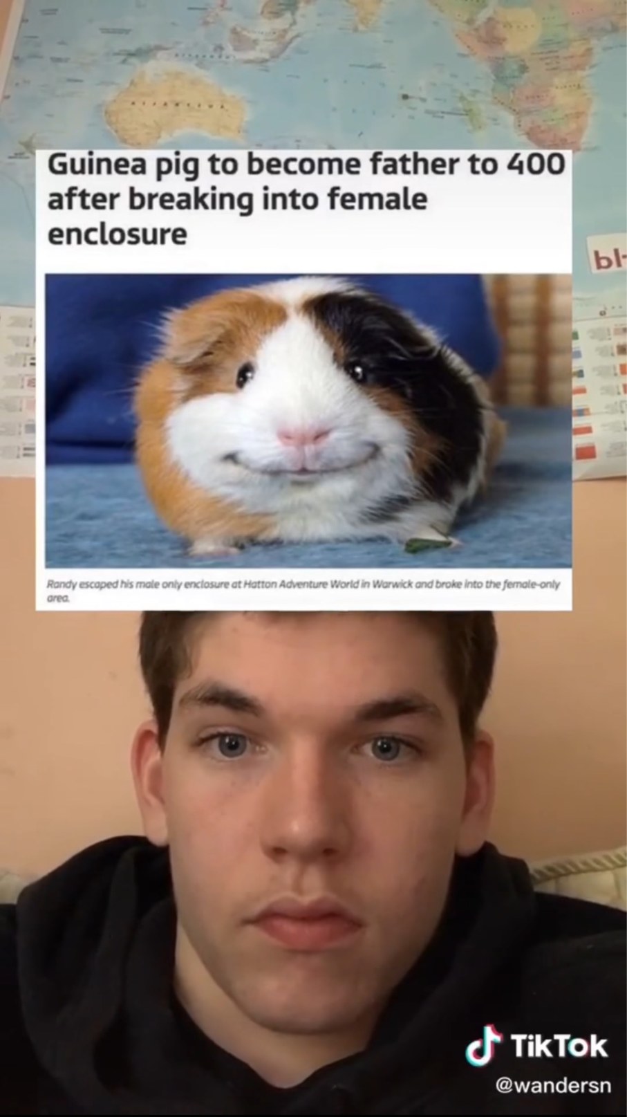 hamster.          credits to this TikToker - meme
