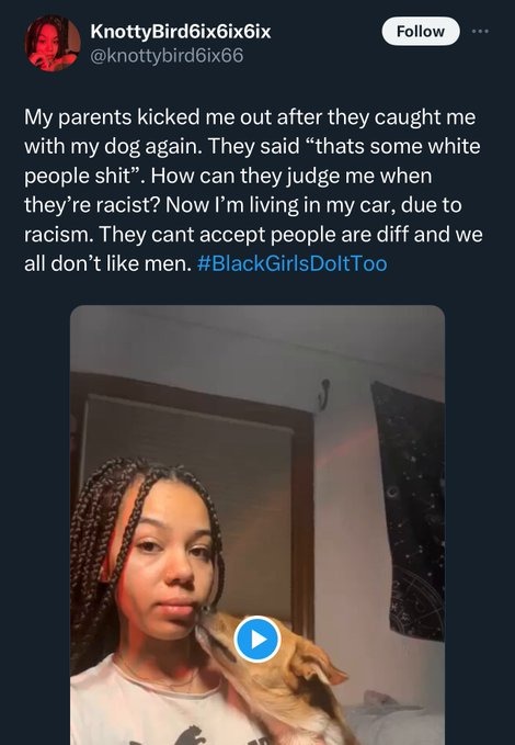 we need a dogginist & dog abuse prevention association. how are you seriously gon bring race into this? - meme