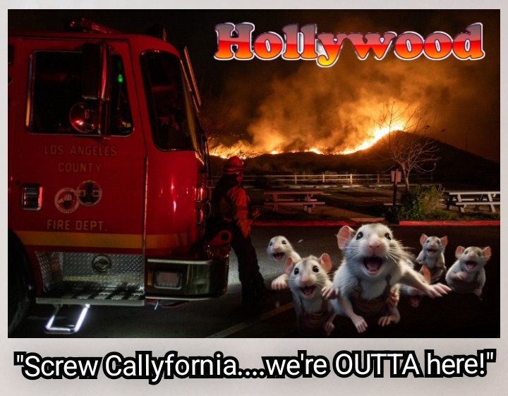 California Woke Rats Fleeing Sinking Ship of State - meme