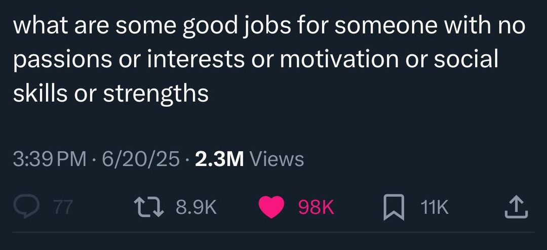 Looking for a job with no skills, no drive, no hope - meme