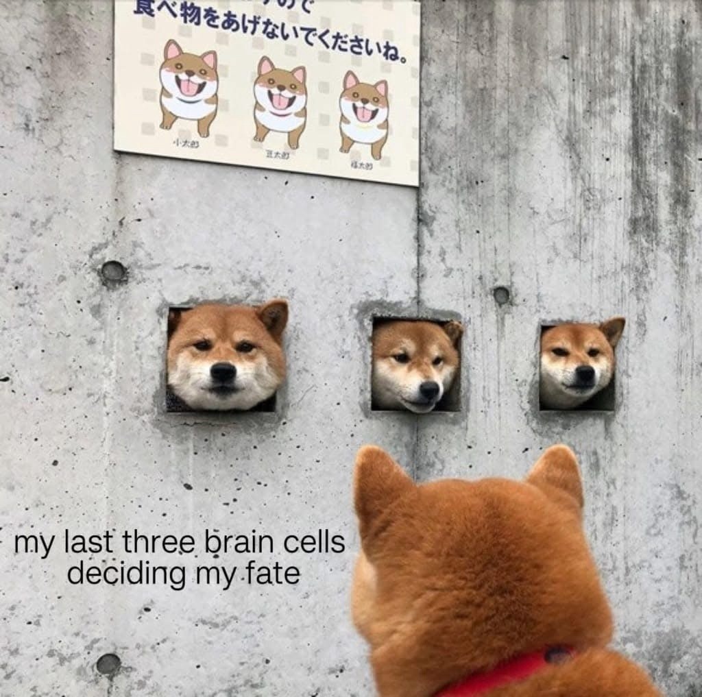 Three brain cells deciding my destiny - meme