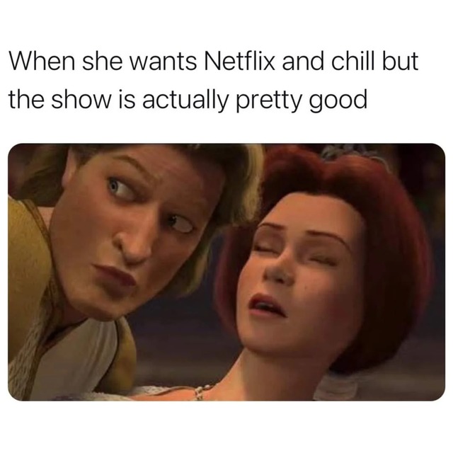 netflix and chill but the show is good - meme