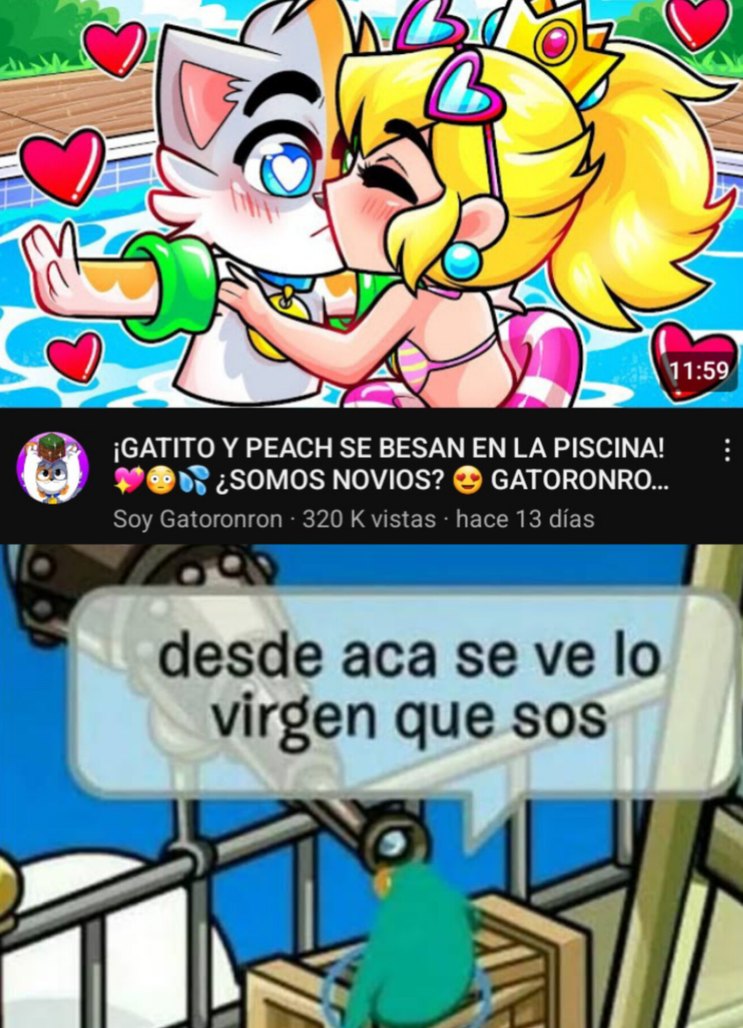 Gatitovirgoron - meme