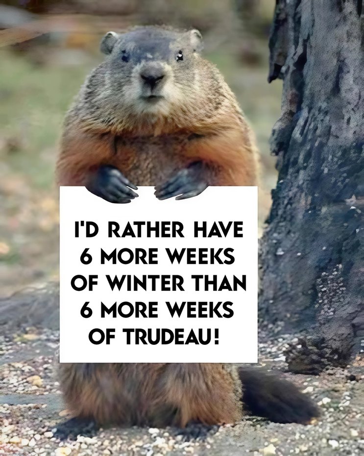Nobody can stand Trudeau here in Canada anymore. Anyone here is willing to give him a ride far away form here, please? - meme