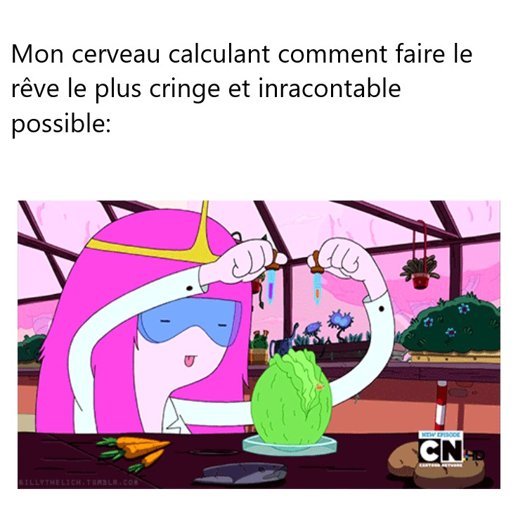 "de quoi tu à rêvé cette nuit ? Je t'ai entendu parler" "heuuuuuuu" - meme