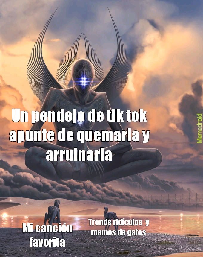 Razones por las que odio tik tok además de estar lleno de edgys pndjs   y morros y morras bellakas que se blanquean la piel con Snapchat y de gente que no sabe respetar gustos ajenos - meme