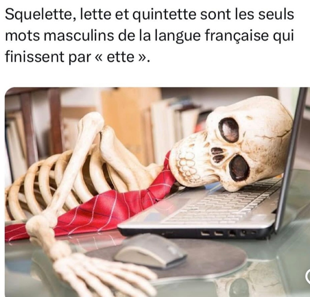 squelette lette quintette les seuls masculins en -ette linguistique vibe - meme