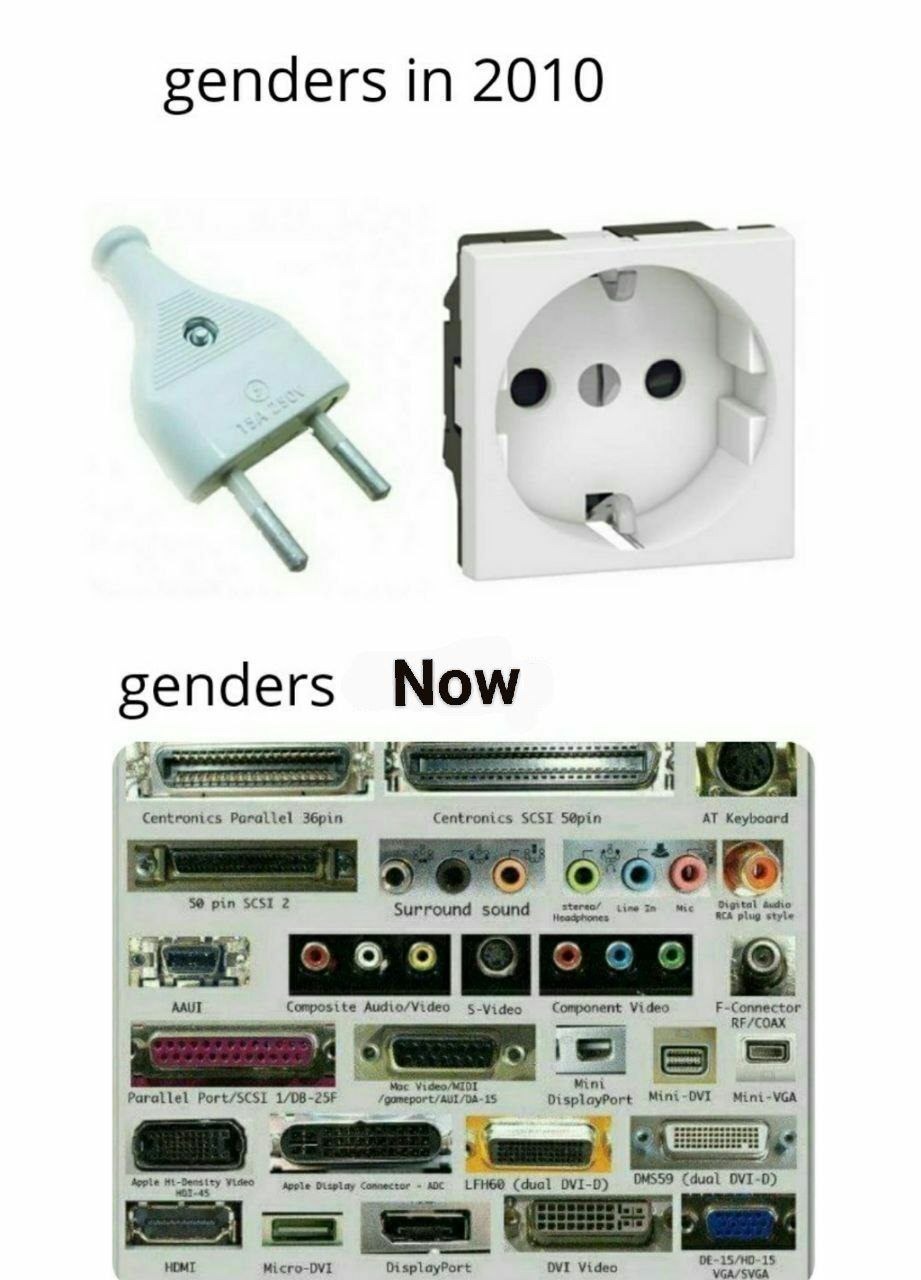 Genders now got more ports than my PC - meme