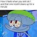I’m sorry about the quality but if this isn’t the most relatable meme, idk what is