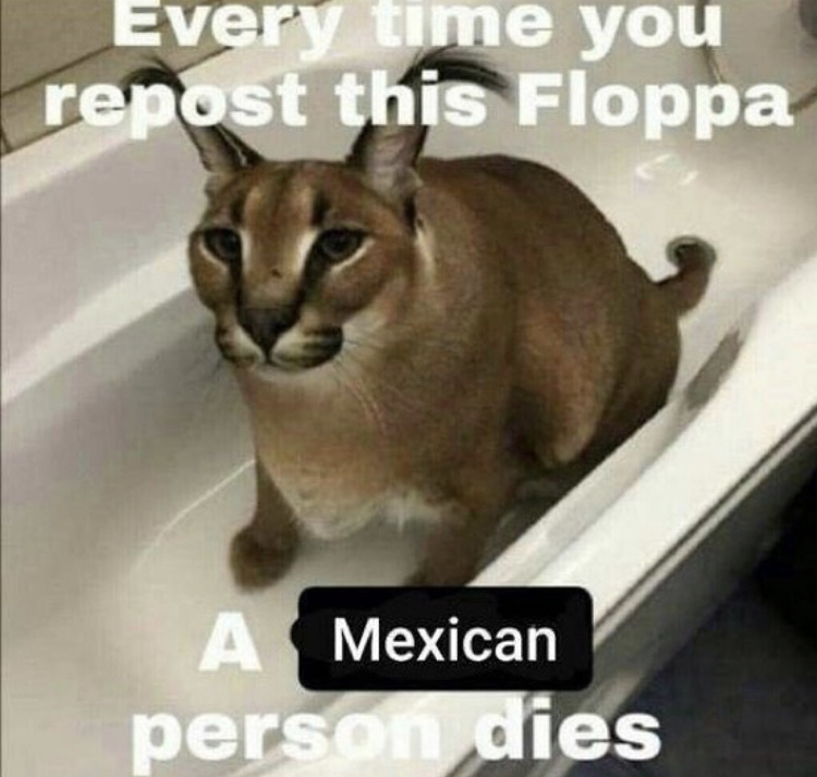 Adiós mexicanos - meme