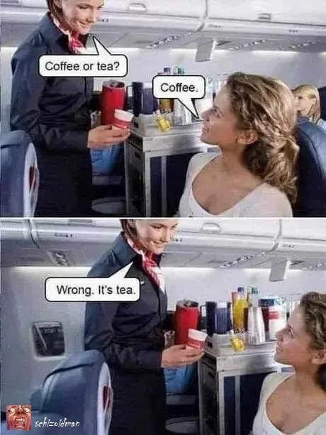 Charming flight service - meme