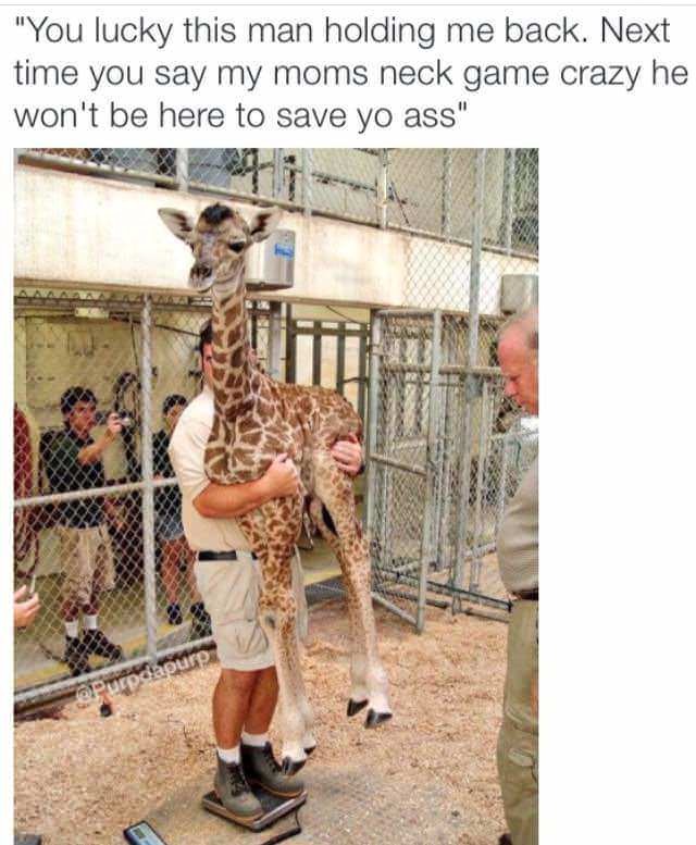 When you buy a giraffe - meme