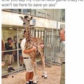 When you buy a giraffe