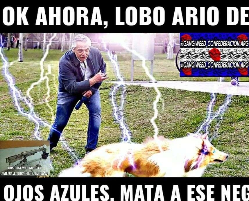 Título - meme