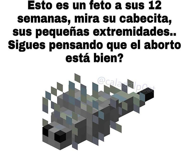 aborto - meme
