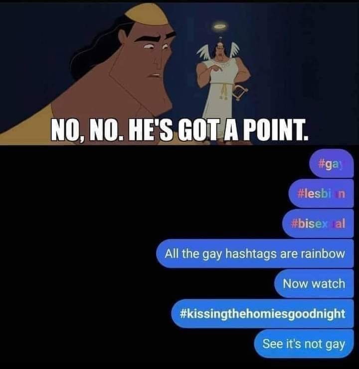 it ain’t gay unless you make it gay - meme
