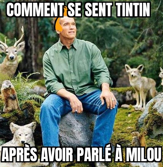 Un meme qui m'a pris du temps (ou pas)
