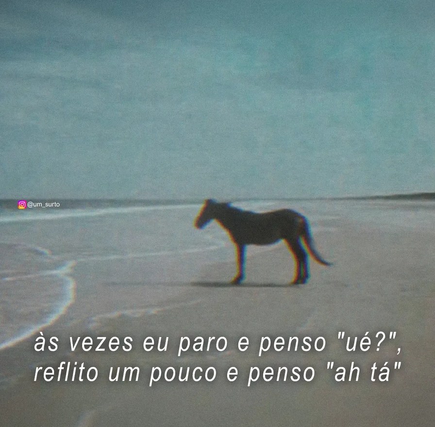 Reflexões de um vacalo perdido - meme