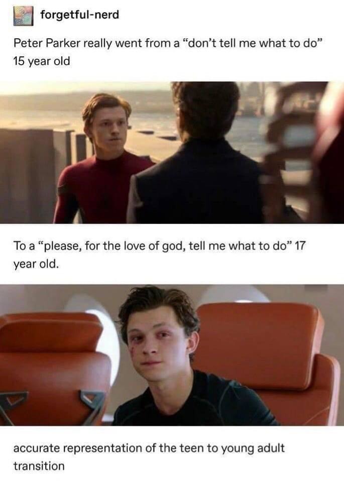From rebellious teen to confused adult in just 2 Spider-Man movies - meme