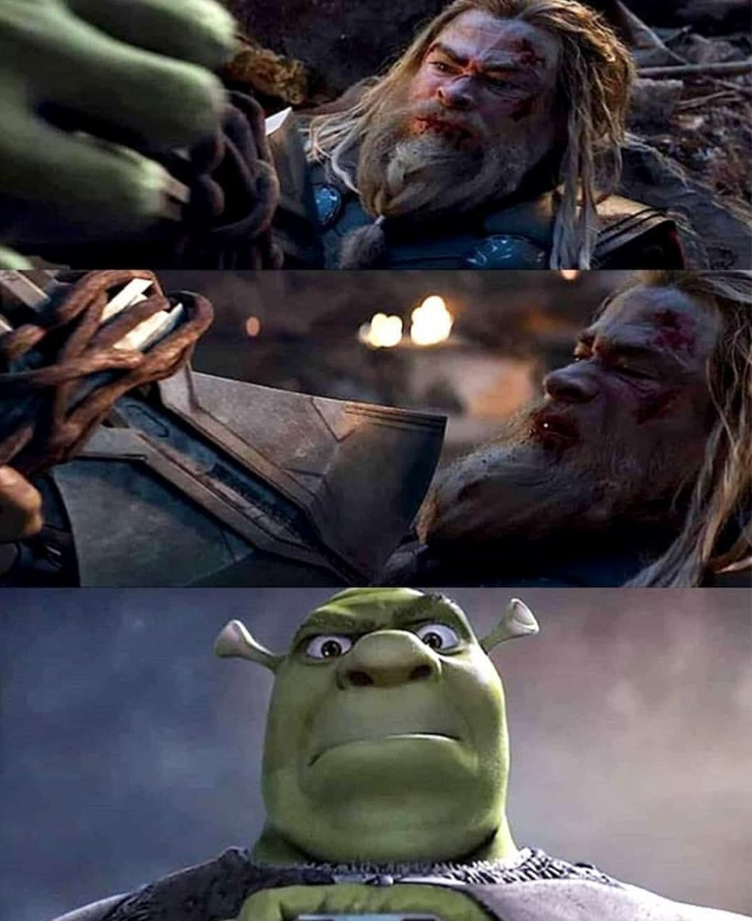 Shrekers Endswamp - meme