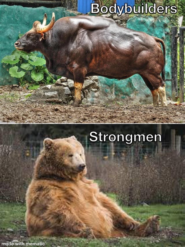 Bodybuilders vs strongmen - meme