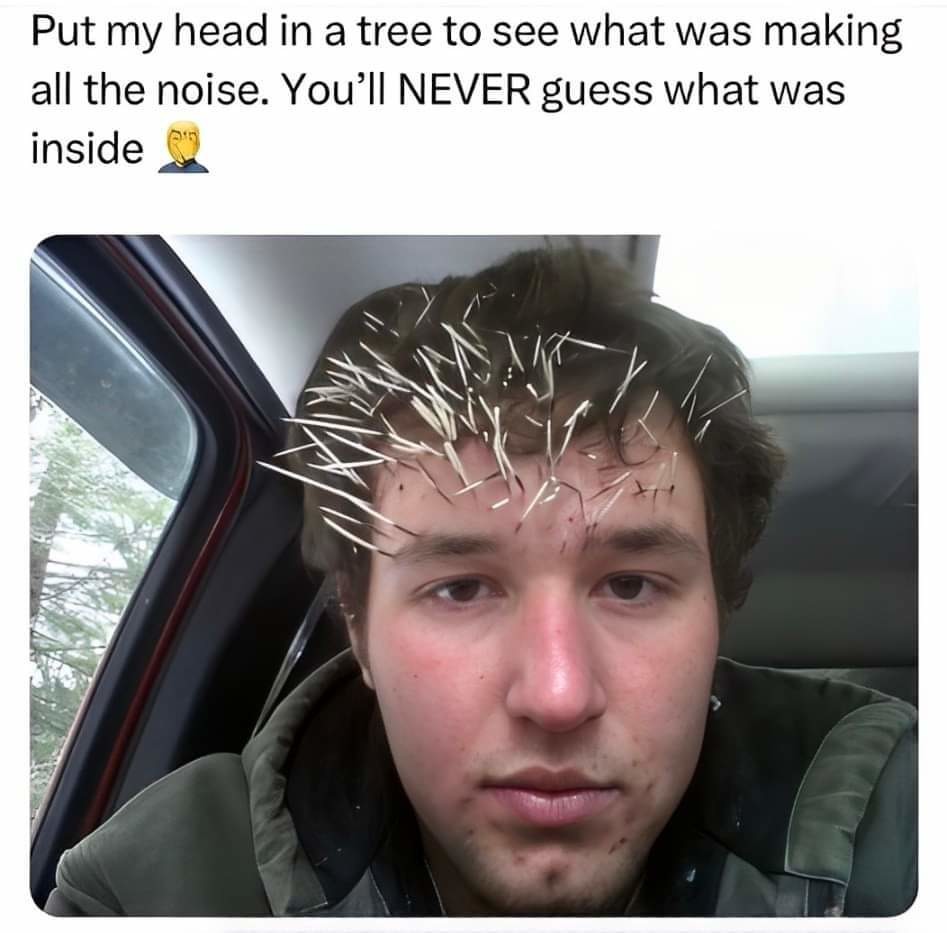 This is funny to me - meme