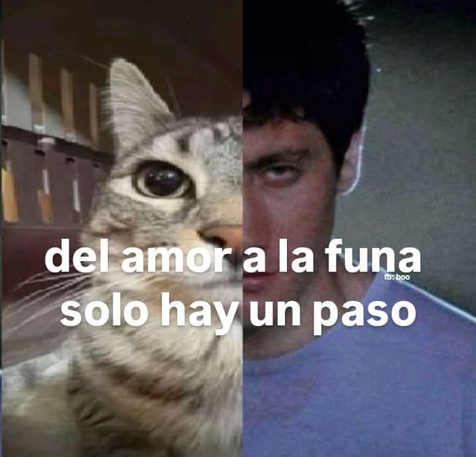Del amor a la funa - meme